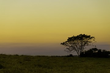 Fototapeta na wymiar Sunset at countryside