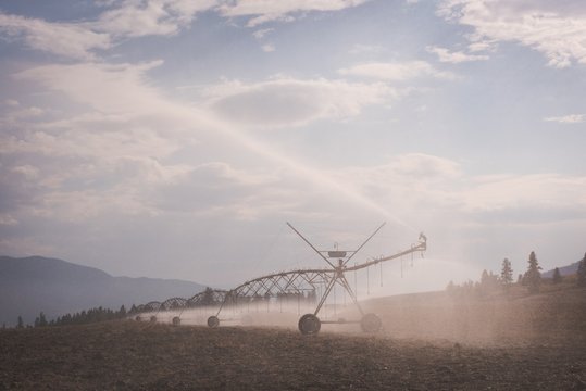  Irrigation system sprinkling water in field
