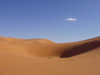 SAHARA DESERT DUINES
