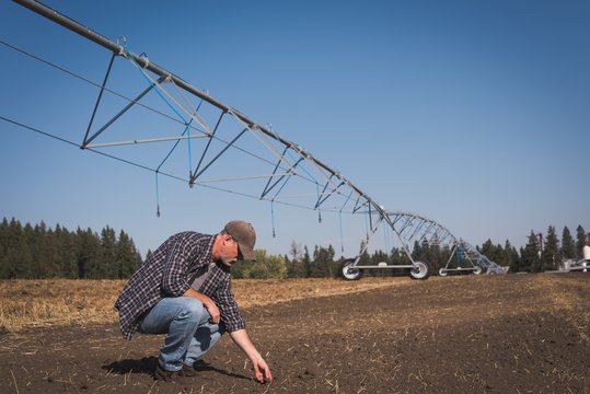 Farmer checking fertile soil in the field