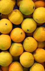 Background of ripe oranges