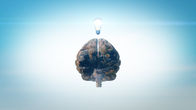 3D Brain model textured with Earth colors and lightbulb inspiration