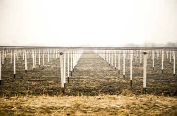view at vineyard with white pillars