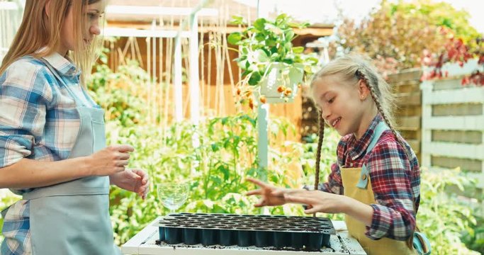 Mother and daughter planting seeds to pots and smiling at camera outdoors in their kitchen garden