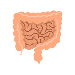 Intestines icon, flat style