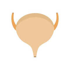 Bladder icon, flat style