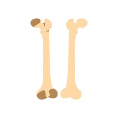 Bones icon, flat style