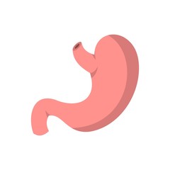 Stomach icon, flat style