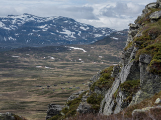 Landschaft Norwegen mit Fels und Bergen