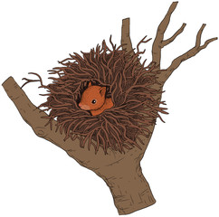 Die Kunst, den perfekten Kaffee zu Hause zu brühen