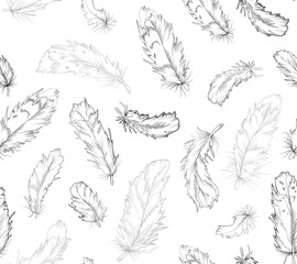 Feather bird seamless pattern. Monochrome black linear pen ink gray texture in boho style for strict interior wallpaper, textile t shirt design paper. Beautiful light tender hand drawn cute love print