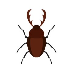 Rhinoceros beetle icon, flat style