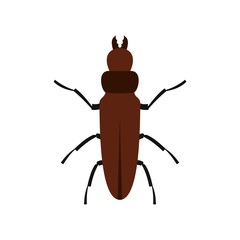 Cockroach icon, flat style