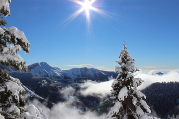 Morning sun in the Alps