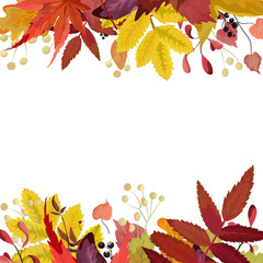 Autumn season Vector floral watercolor style card design  border frame: colorful orange yellow burgundy red fall leaves forest maple tree branch berries. Greeting postcard invite decorative copy space