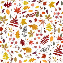 Seamless Autumn pattern Vector floral watercolor style design: orange, yellow, brown red fall forest rowan, birch, oak tree leaves and herbs. Wallpaper, background beautiful, cute, trendy bright print
