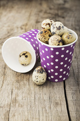 quail eggs with paper cups with a pattern of polka dots