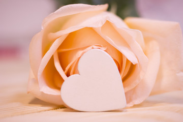 Concept of St.Valentine's Day, Love, Anniversary, Wedding with a beautiful cream rose and a wooden heart in a close up, light blurred background