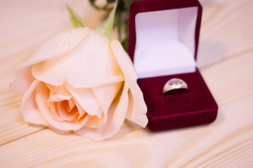 Concept of St.Valentine's Day, Love, Anniversary, Wedding with a beautiful cream rose and a wedding ring in red suede box in a close up, light blurred background