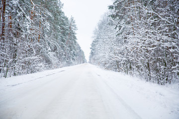 ukrainian winter forest road in snow