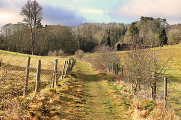 A footpath between fenced fields in the Chiltern Hills in England