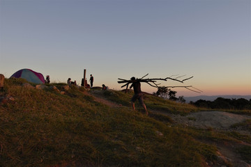 Recolhendo lenha para fogueira. Gathering firewood
