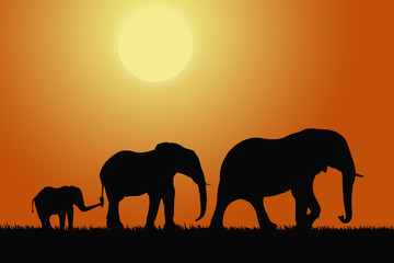 Fototapeta na wymiar Слоны, закат, африка, солнце, арт