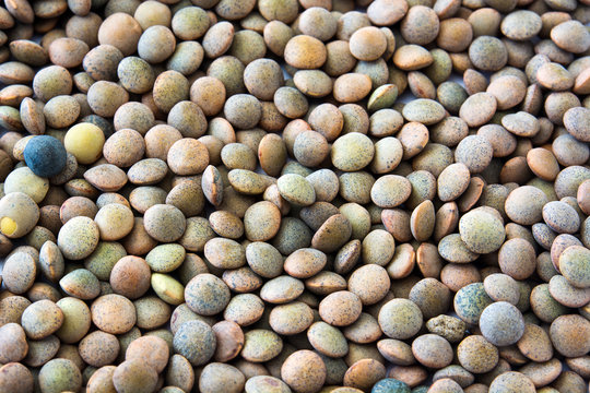 Close up lentils grain background. Top view