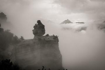 South Rim Sentinel in Fog