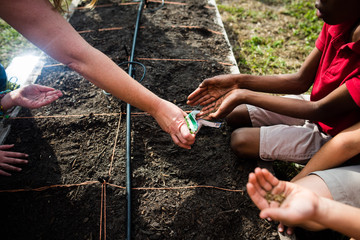 Diverse kids planting seeds in garden adult help