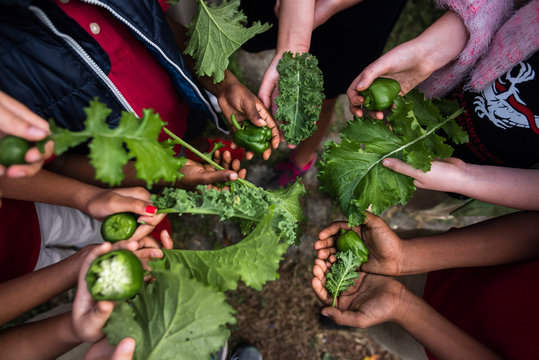 diverse kids holding garden vegetables