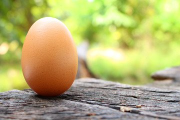 hen egg on wood table