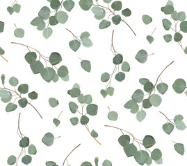 Materiał do szycia Eucalyptus silver dollar tree foliage natural branches with green leaves tropical seamless pattern, watercolor style. Vector decorative cute elegant greenery illustration isolated white background
