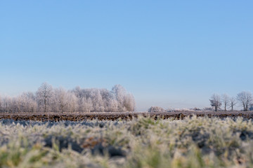 frost on the ground field countryside winter - obrazy, fototapety, plakaty