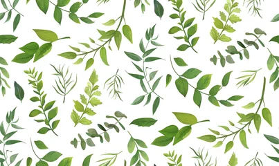Küchenrückwand glas motiv Musterwelt Nahtloses Muster des Eukalyptus-Palmenfarns verschiedener Baum, natürliche Zweige des Laubs, grüne Blätter, Kräuter, handgezeichnetes Aquarell der tropischen Pflanze Vektor frische Schönheit rustikaler umweltfreundlicher Hintergrund auf Weiß
