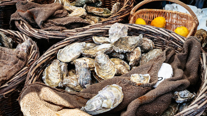 raw oysters on outdoor street market in Cancale - obrazy, fototapety, plakaty