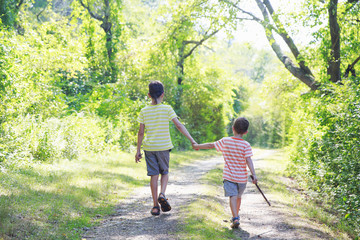 children walk on a forest road. two brothers holding hands on a walk. back view. The concept of siblings friendship