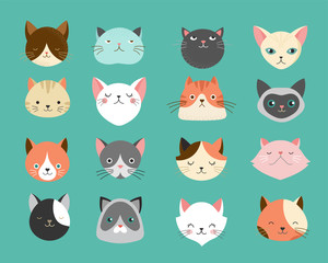 Fototapeta premium Collection of cats illustrations