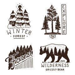 coniferous forest, mountains and wooden logo. camping and wild nature. landscapes with pine trees and hills. emblem or badge, tent tourist, travel for labels. engraved hand drawn in old vintage sketch
