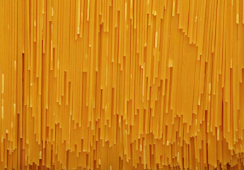 Fototapeta premium Close up background of spaghetti pasta