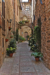 Spello, le strade e le case del villaggio - Umbria