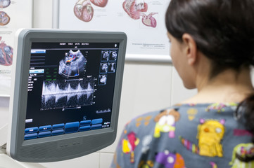 Doctor uses ultrasound scan in veterinary clinic