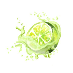 Fresh lime in juice splash isolated on white background. Watercolor hand drawn illustration