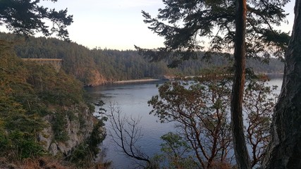 Rosario Bay through the trees