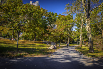 Naklejka premium Centeral park at Manhattan