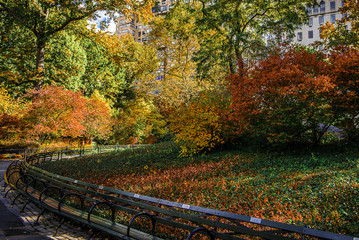 Centeral park at Manhattan