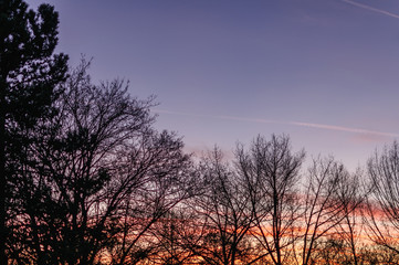 Fototapeta na wymiar Sunset over the forest. Image in the orange-blue toning