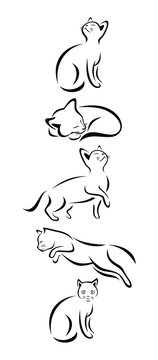 A Set Of Cats In Different Poses