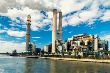 Power Station is a major coal-fired power plant. During the winter months, warm-water outfalls from the station draw dozens of manatees