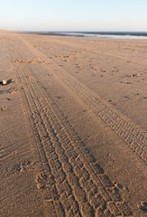 Tyre tracks going off in the distance on a golden sandy beach at sunset
